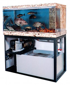 Seawater chiller for fish tank